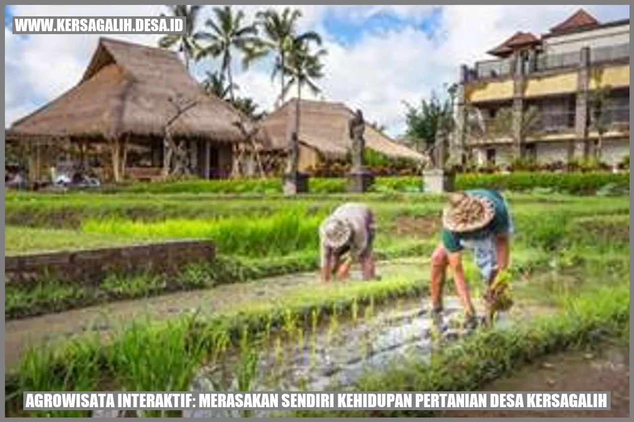 Agrowisata Interaktif: Merasakan Sendiri Kehidupan Pertanian Desa Kersagalih