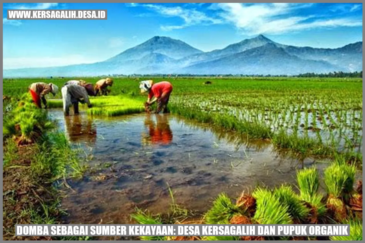 Domba sebagai Sumber Kekayaan: Desa Kersagalih dan Pupuk Organik