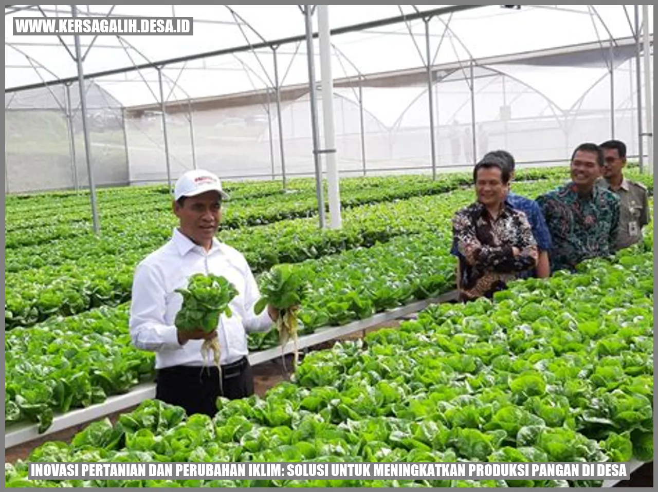 Inovasi Pertanian dan Perubahan Iklim: Solusi untuk Meningkatkan Produksi Pangan di Desa