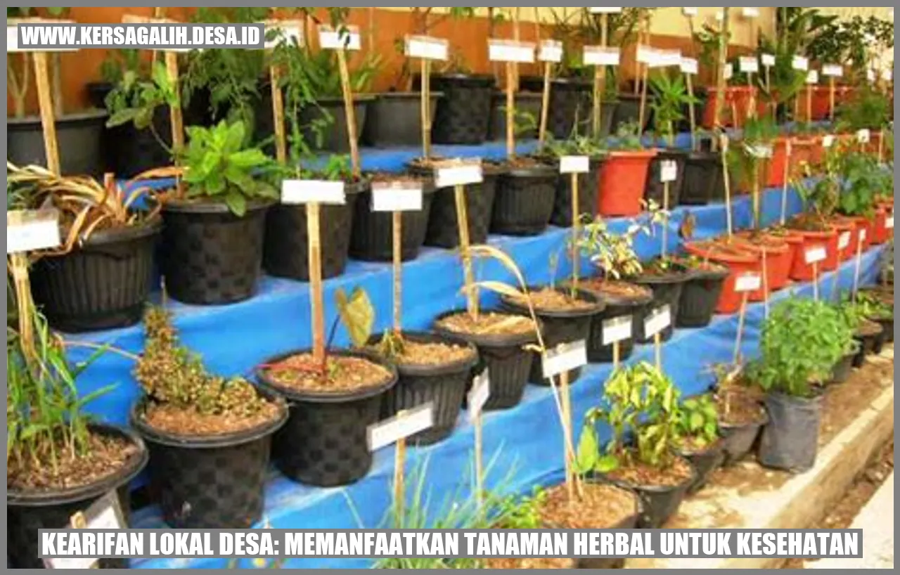 Kearifan Lokal Desa: Memanfaatkan Tanaman Herbal untuk Kesehatan