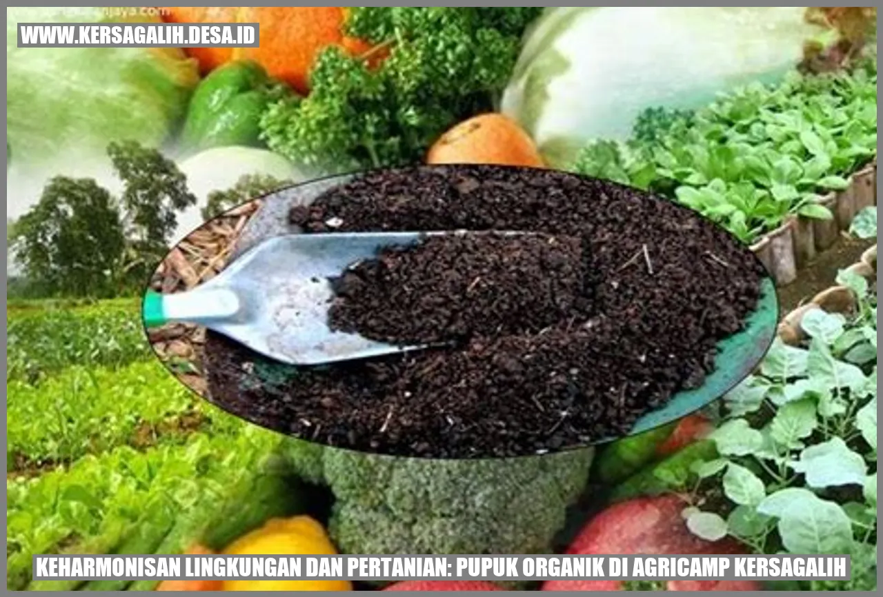 Keharmonisan Lingkungan dan Pertanian: Pupuk Organik di Agricamp Kersagalih