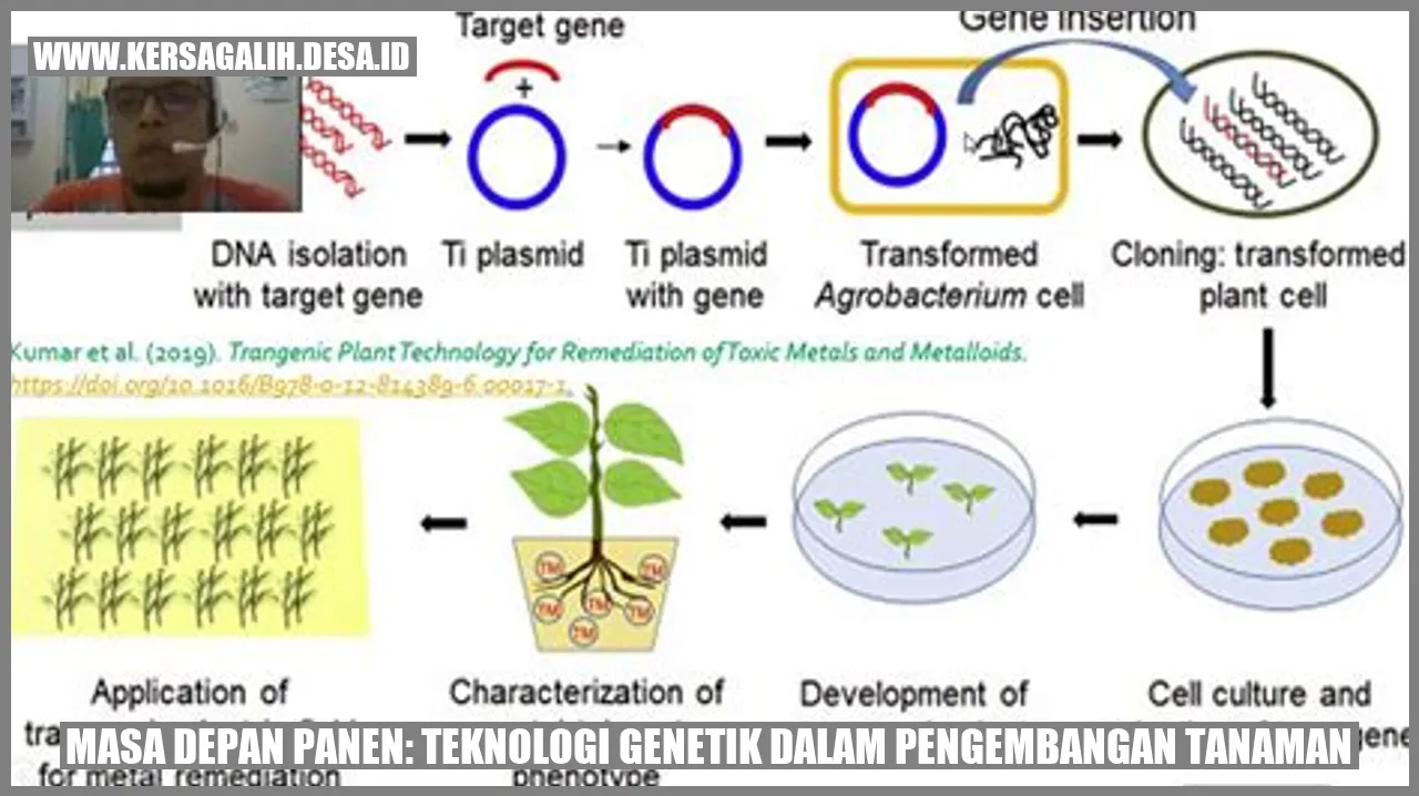 Masa Depan Panen: Teknologi Genetik dalam Pengembangan Tanaman