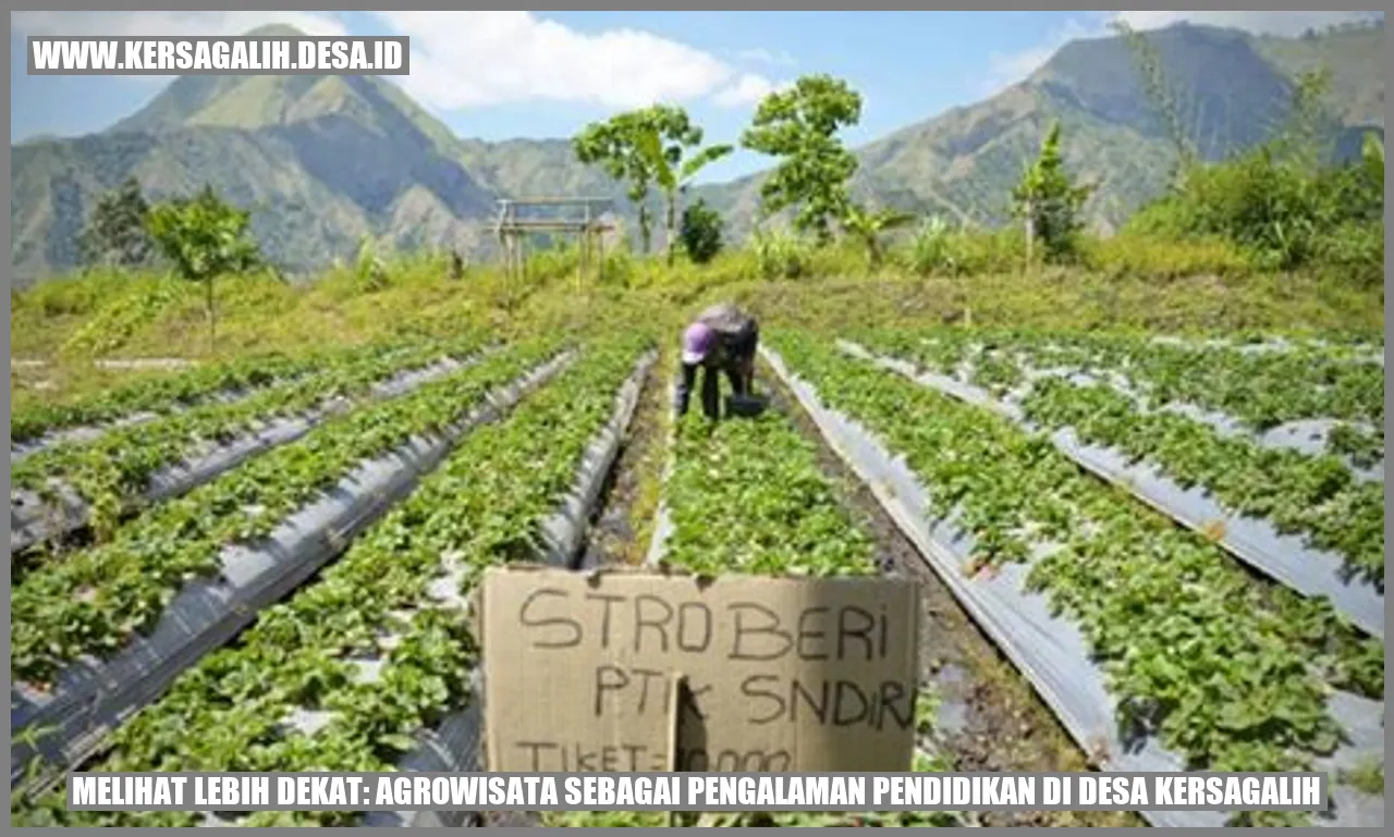 Melihat Lebih Dekat: Agrowisata sebagai Pengalaman Pendidikan di Desa Kersagalih