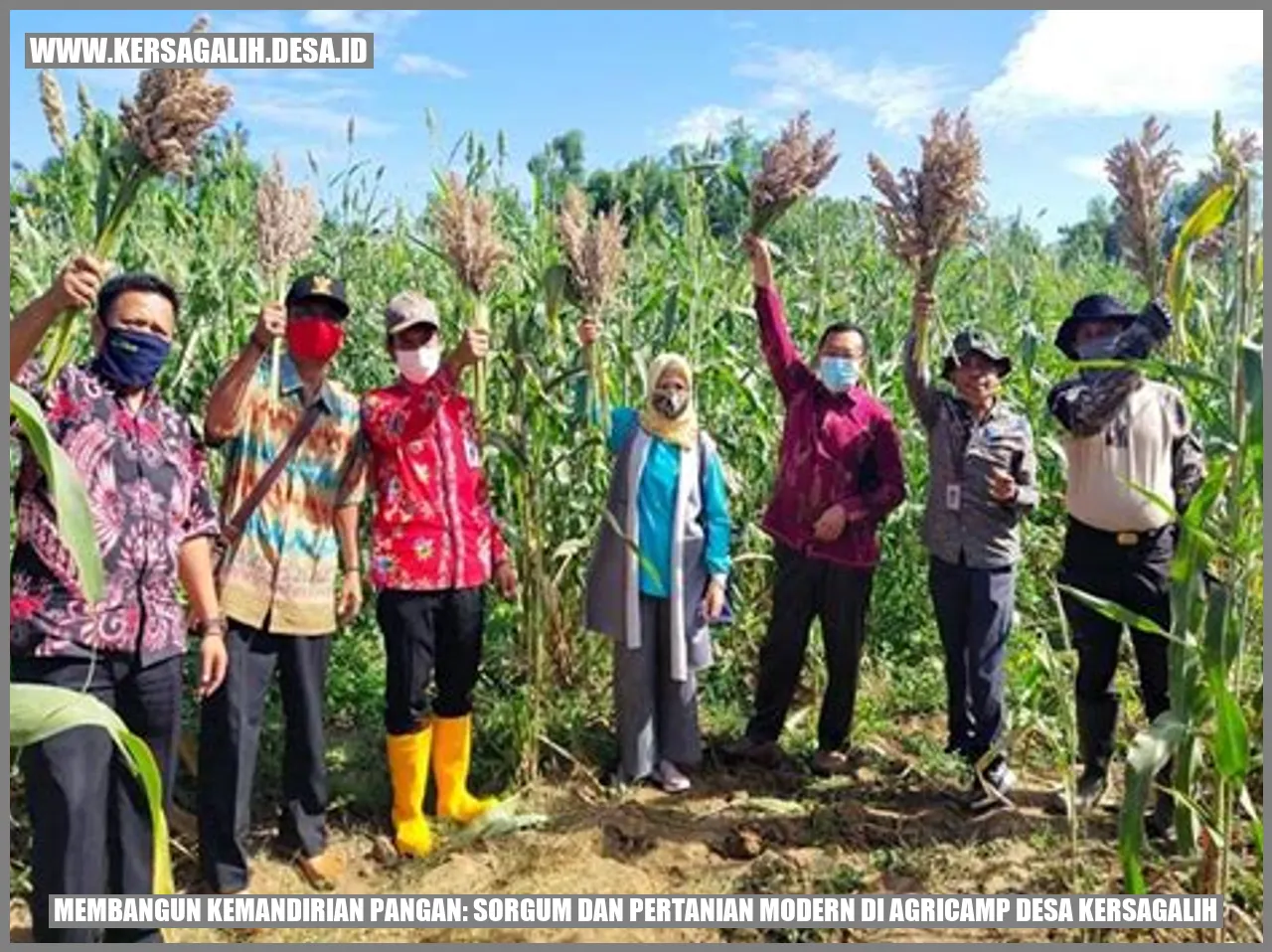 Membangun Kemandirian Pangan: Sorgum dan Pertanian Modern di Agricamp Desa Kersagalih