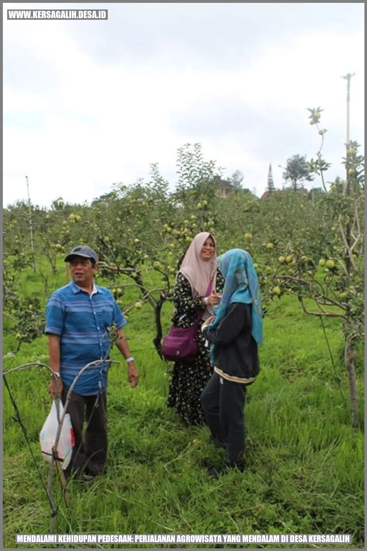 Mendalami Kehidupan Pedesaan: Perjalanan Agrowisata yang Mendalam di Desa Kersagalih