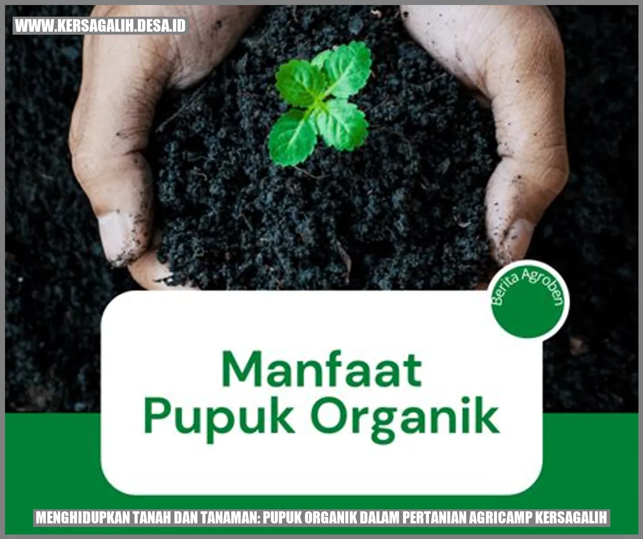 Menghidupkan Tanah dan Tanaman: Pupuk Organik dalam Pertanian Agricamp Kersagalih