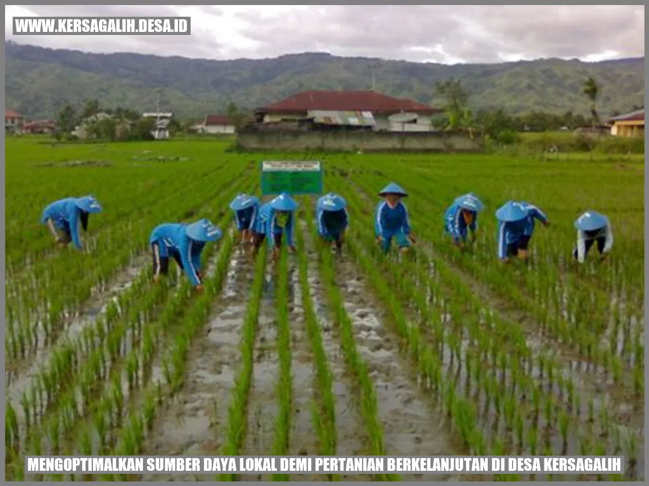 Mengoptimalkan Sumber Daya Lokal demi Pertanian Berkelanjutan di Desa Kersagalih