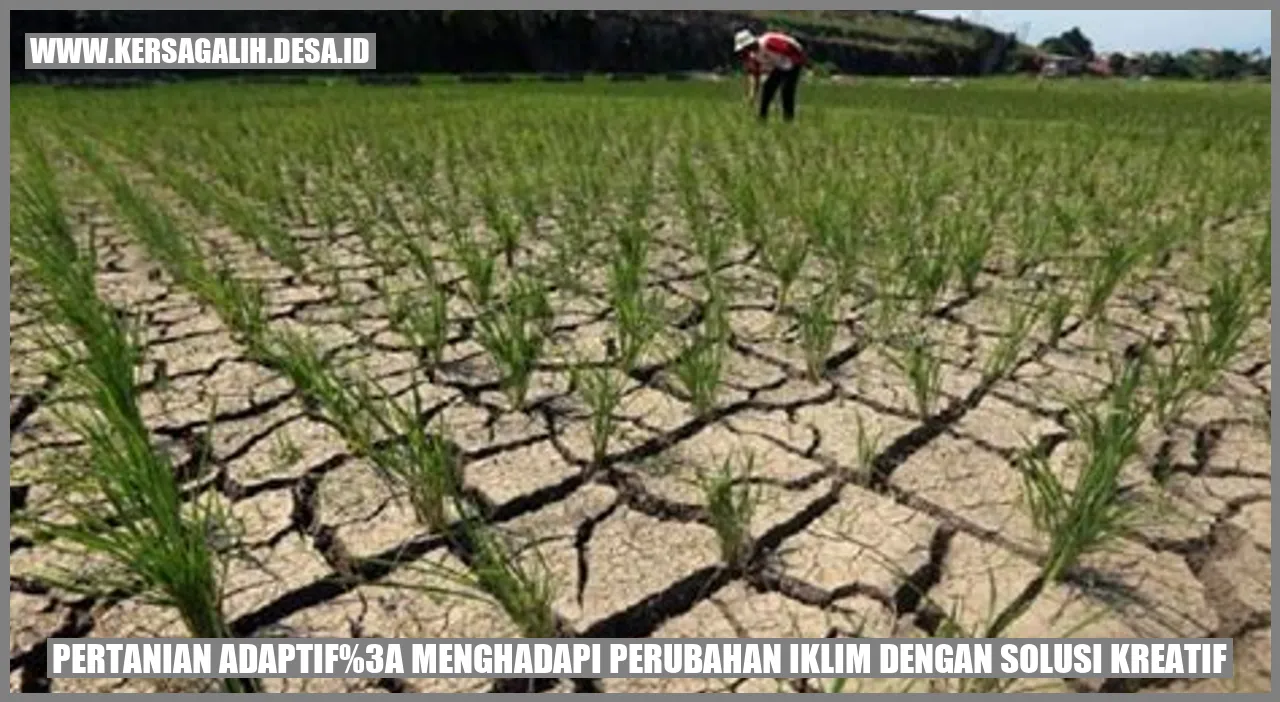 Pertanian Adaptif: Menghadapi Perubahan Iklim dengan Solusi Kreatif