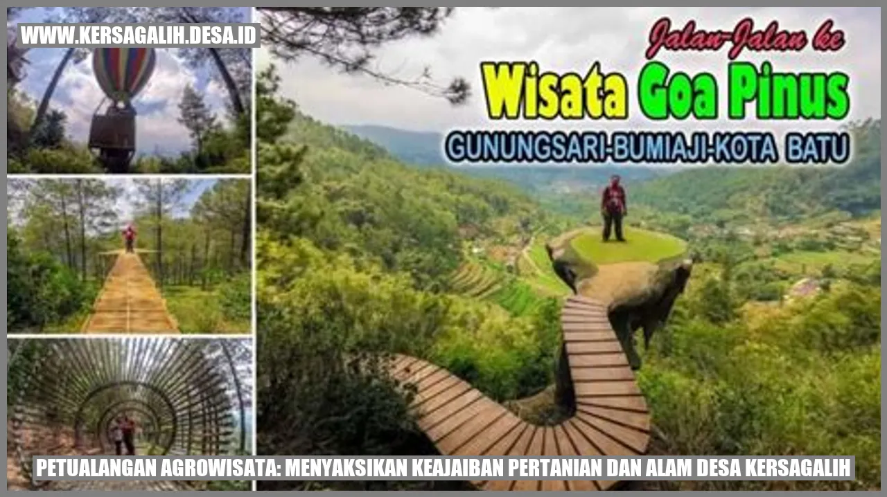 Petualangan Agrowisata: Menyaksikan Keajaiban Pertanian dan Alam Desa Kersagalih