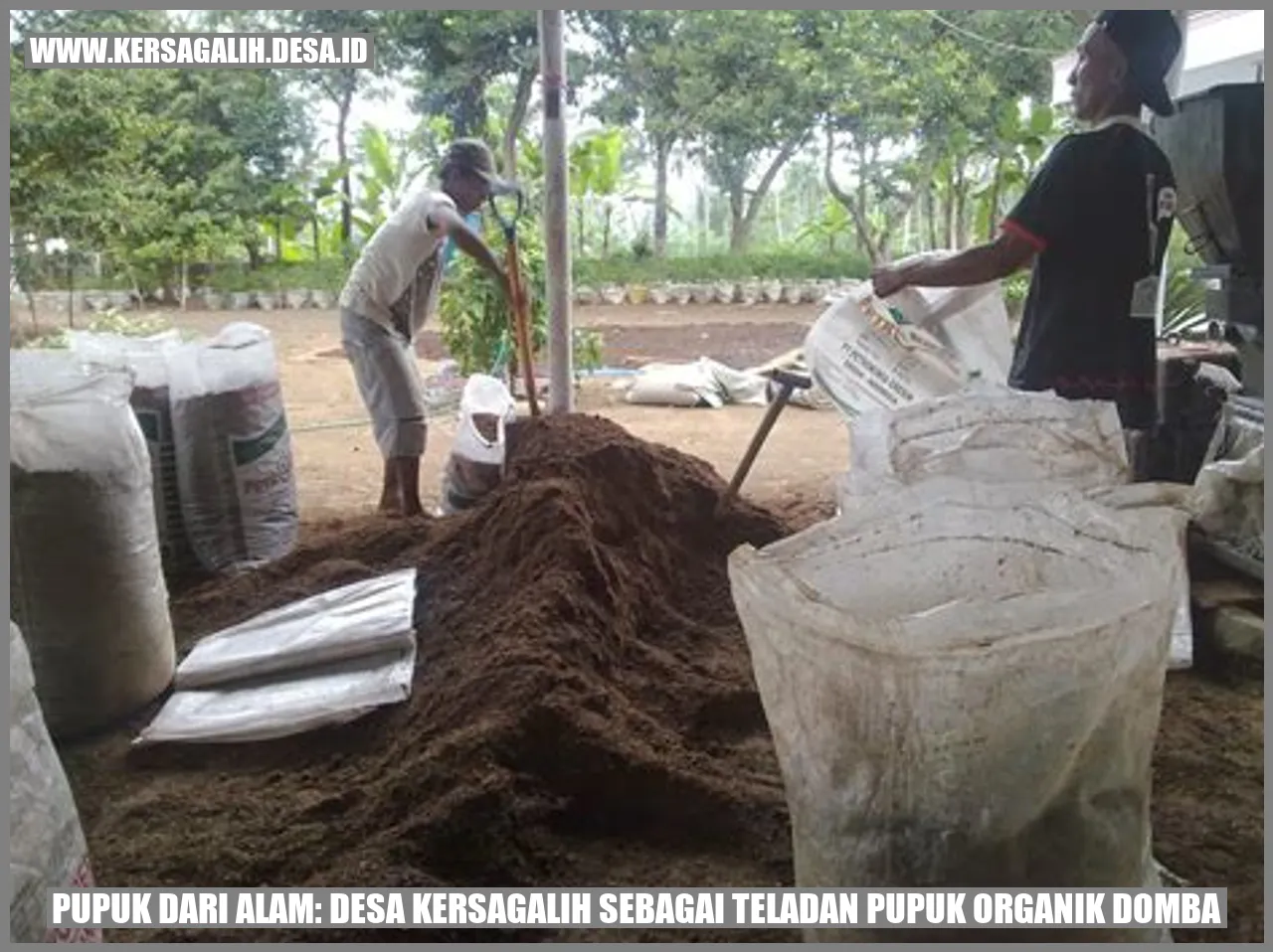 Pupuk Organik Terbaik Dari Desa Kersagalih