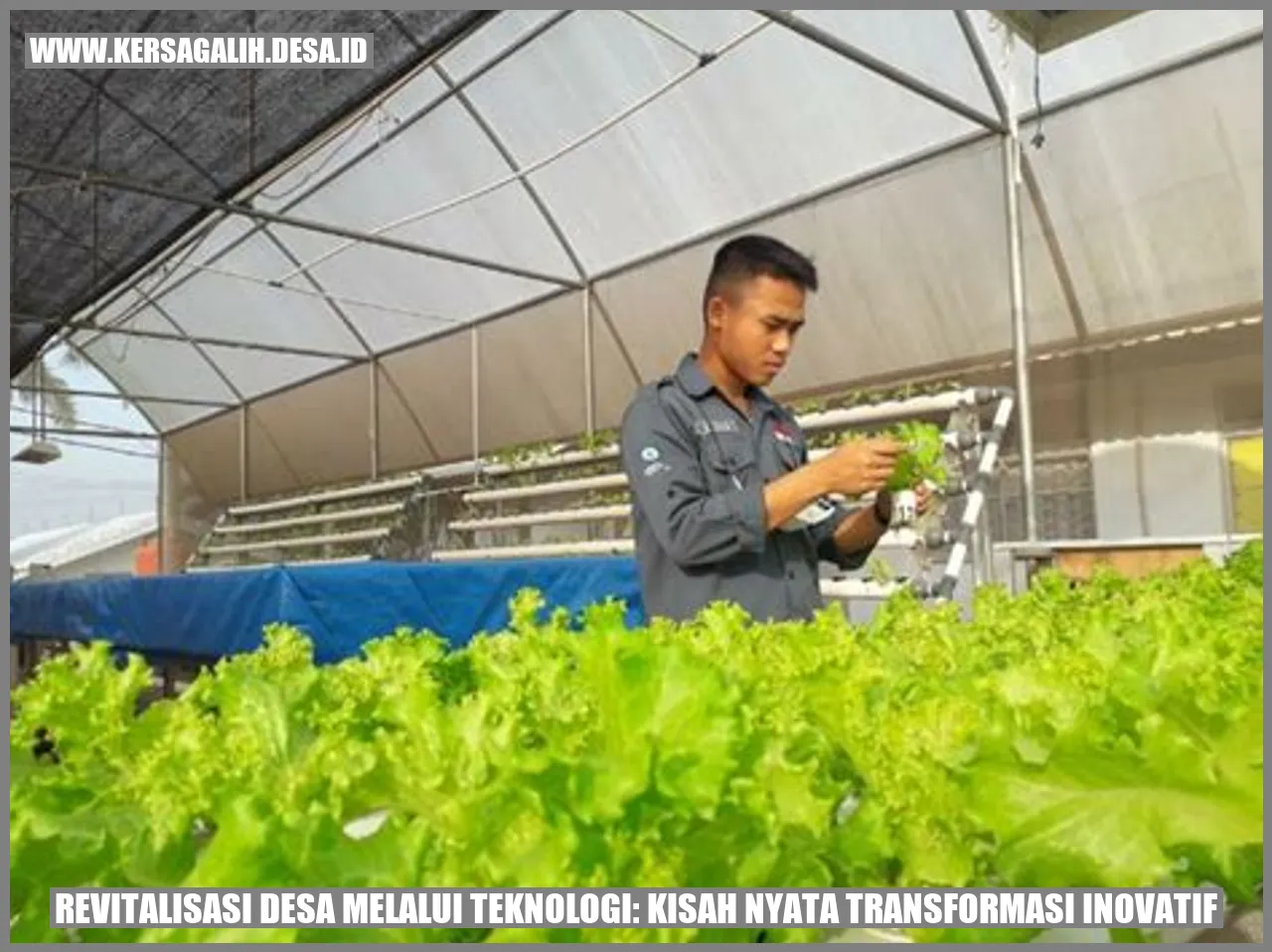 Revitalisasi Desa Melalui Teknologi: Kisah Nyata Transformasi Inovatif