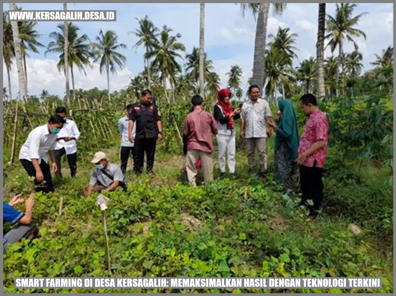 Smart Farming di Desa Kersagalih: Memaksimalkan Hasil dengan Teknologi Terkini